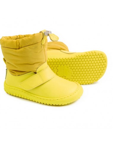 Zapato Feroz Rockers Bernia Amarillo Voir les baskets