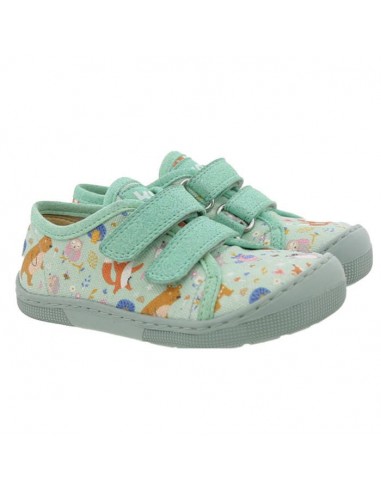 Koel Barefoot Dud Print Bear Mint offre 