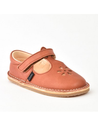 Aster Petits Pas Dingo Rouge Terracotta destockage