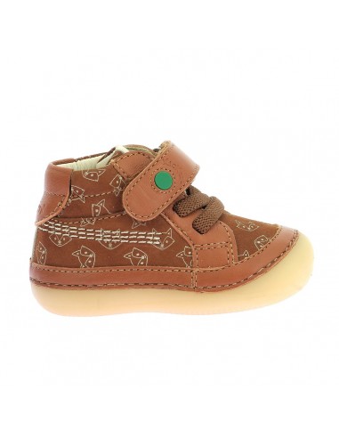 Kickers Sokistic Camel Renard store