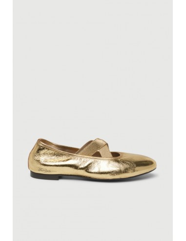 Bettina Ballet Flats in Gold Leather Toutes les collections ici